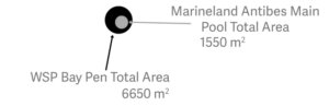 The size of the bay pen (the black disk) compared to the space that Wikie and Keijo have at Marineland Antibes (the gray disk).