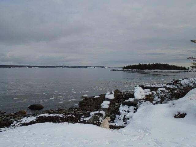 Photograph from standardized area (45.07843° -61.82626°) looking toward the mouth of the Bay/Barachois Island on 2020-02-17 showing small ice chunks along the western shore of the bay during the period of greatest ice cover.