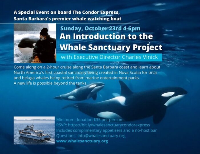 Santa Barbara Cruise Boat To Host Talk About Sanctuary - The Whale ...