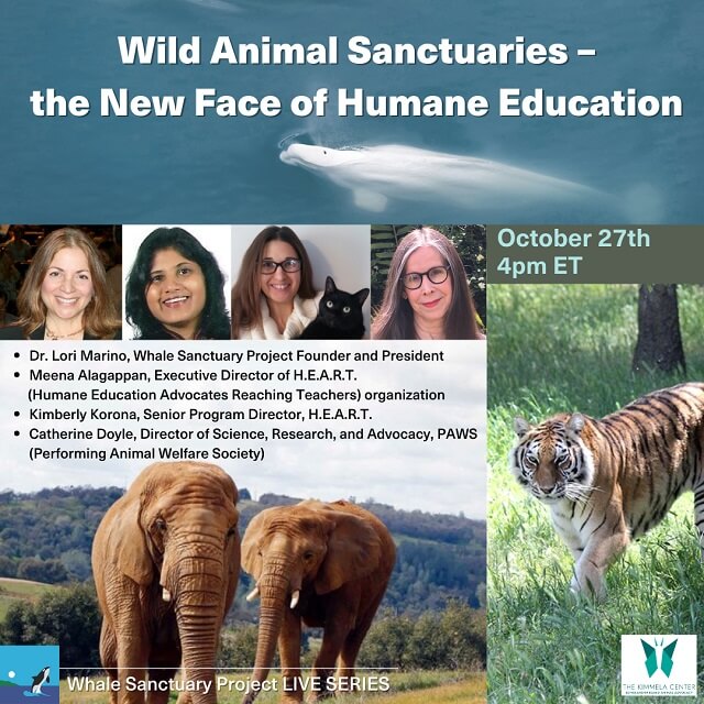 Wild Animal Sanctuaries – the New Face of Humane Education - The Whale  Sanctuary Project | Back to Nature