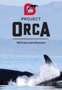 project-orca-sm